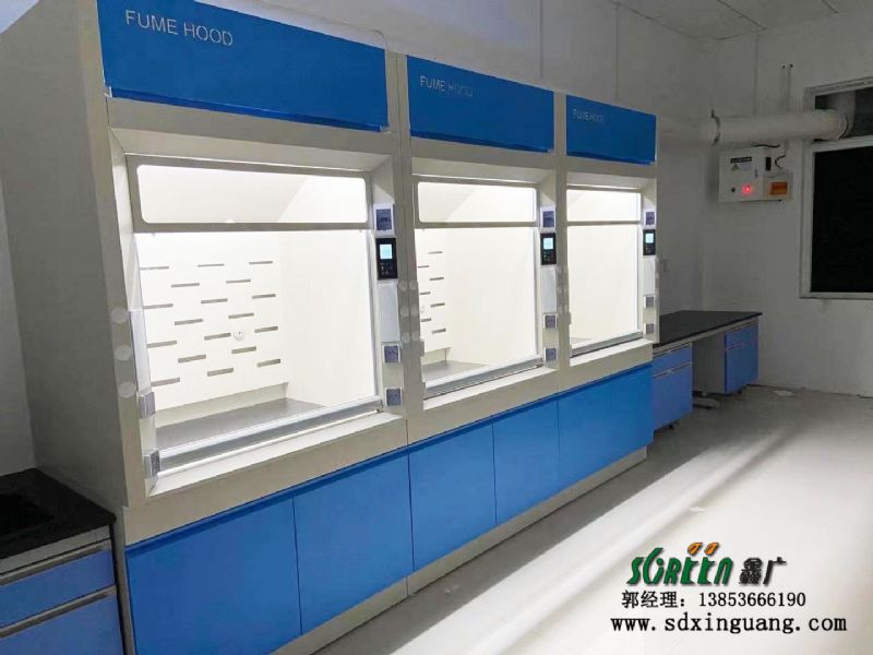 東營市山東大明環保工程技術有限公司實驗室邊臺、通風系統等實驗室家具安裝現場