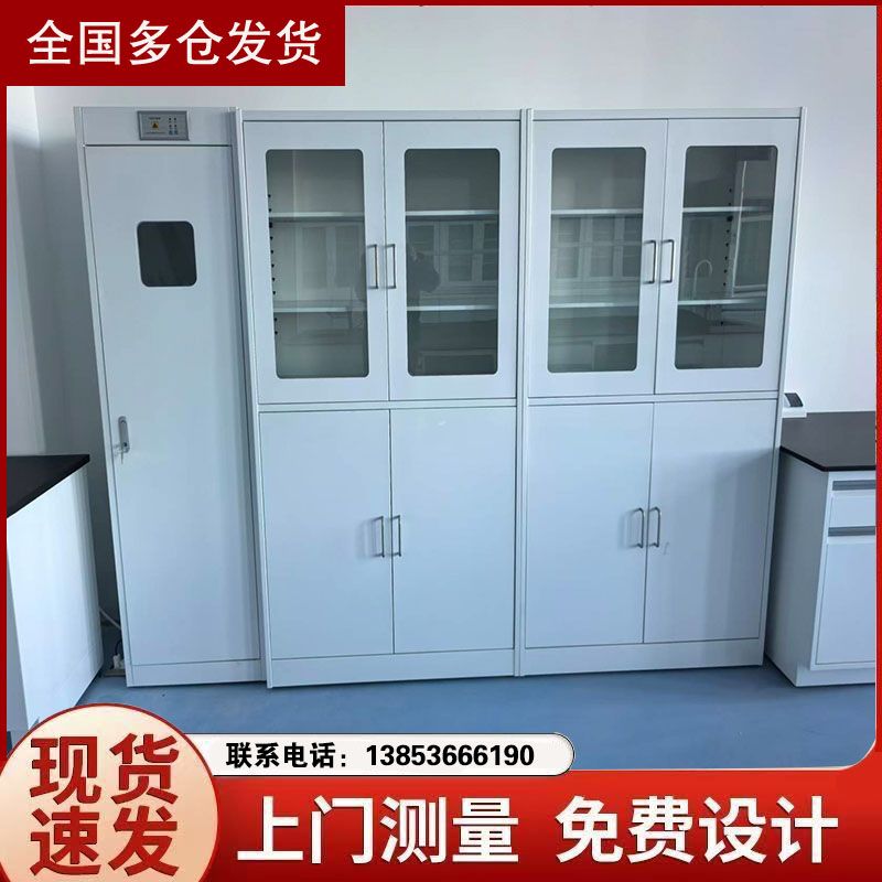 濰坊實驗臺廠家 全鋼試劑柜排風柜 實驗室家具加工