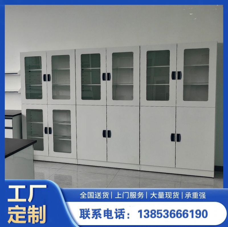山東實驗室設(shè)備實驗室器皿柜 化驗室試劑柜